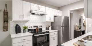 Park Valley Apartments Gallery 3