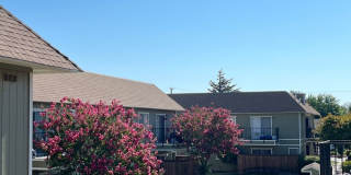 Richland Living Homes Gallery 7