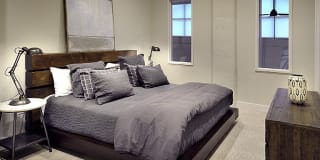 North and Line Apartments Gallery 21