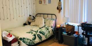 6 Bedroom 3 Bath- Large rooms, AC Gallery 12