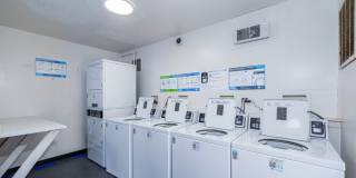 The Columns Gallery 13