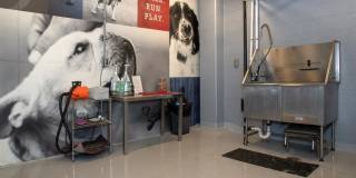 Third North Apartments Gallery 66