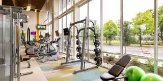 AMLI at Mueller Gallery 26