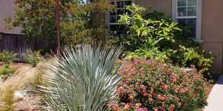 Coming Soon, Beautiful 4 bedroom home for rent Coming Soon, Beautiful 4 bedroom home for rent Gallery 9