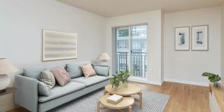 City Square Bellevue Gallery 37