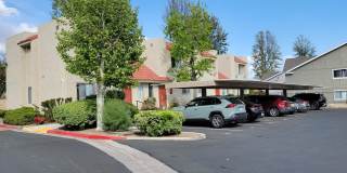 Sierra Vista Gallery 21