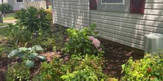 3142 QUARTET Lane unit: 255 Gallery 1