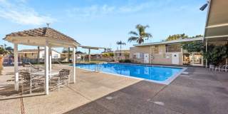 36 Maple Via Gallery 37