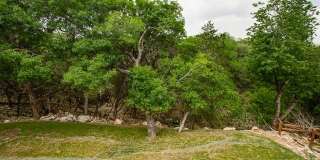 1491 Winding Creek Trail Gallery 30