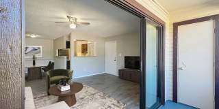 Millenium Cove Gallery 27