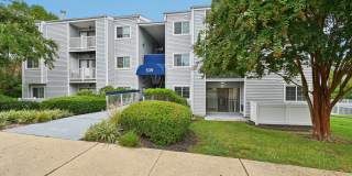 ReNew Odenton Gallery 43
