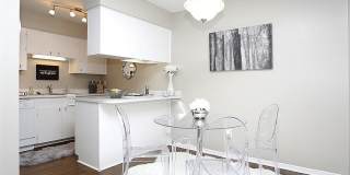 Armon Bay Gallery 4
