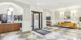 Oliver on LaSalle Gallery 8