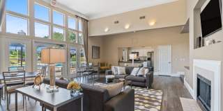 Mission University Pines Gallery 1