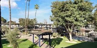 Tierra Palms Gallery 88