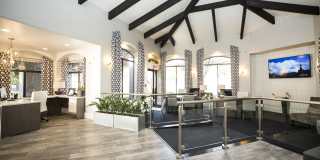 San Valiente Gallery 6