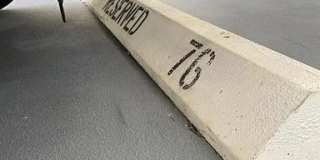 1401 South Ocean Boulevard Gallery 16