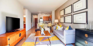 Halstead Square - Lotus & Lofts Gallery 35