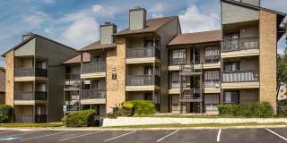 Oak Springs Gallery 5