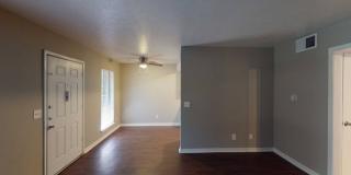 Belleview Apartments Gallery 17