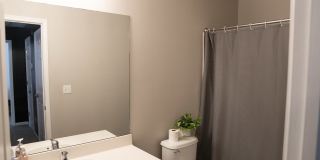 391 Dante Cir Gallery 24