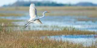 Proximity Watermark Gallery 6