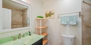 15 Camphor S Gallery 24