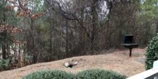 342 Bubble Creek Court - 1 Gallery 14