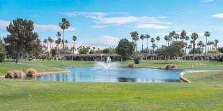 28914 Desert Princess Drive Gallery 21