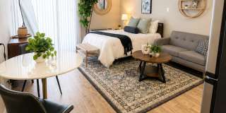 Alta Living Gallery 6