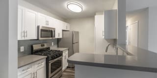 Willow Grove Gallery 3