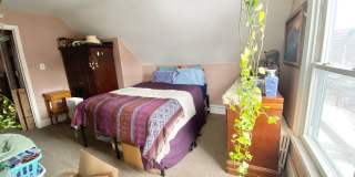 34 Colchester Avenue Gallery 1