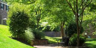 Chestnut Hill Village Gallery 22