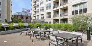 Bayside Village Gallery 37