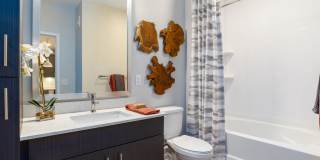 Alta Longwood Gallery 66