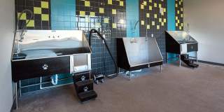 Parkside at Craig Ranch Apartment Gallery 37