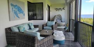 11620 Court Of Palms Gallery 21