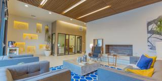 Linden Apartments Gallery 9