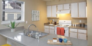 Village at Cascade Park Apartments Village at Cascade Park Apartments Gallery 4