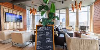 The Vue Charlotte Gallery 29