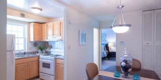 Colonial Square Gallery 10