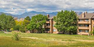 Western Terrace Gallery 2