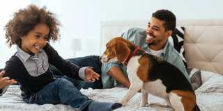 Windsor Ridge Gallery 55