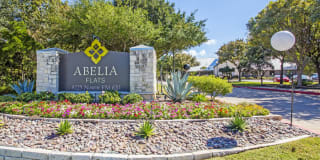 Abelia Flats Gallery 2
