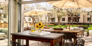 Sharon Green Gallery 31