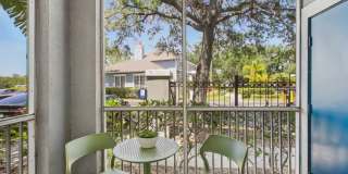 Sole at Citrus Park Gallery 16