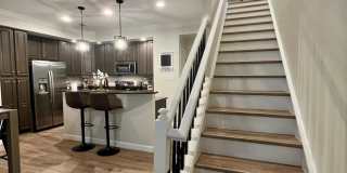 15181 LEICESTERSHIRE Street Gallery 10