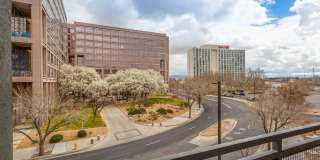 Markana Uptown Gallery 16