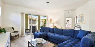 600 L Ambiance Cir Gallery 3