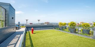 The Lyric Gallery 12